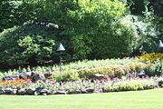 32 - Butchard Gardens  - IMG_1609